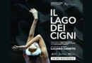 Dal 14 al 17 novembre 2024 al Teatro Alfieri di Torino: “IL LAGO DEI CIGNI” con regia e coreografia di Luciano Cannito